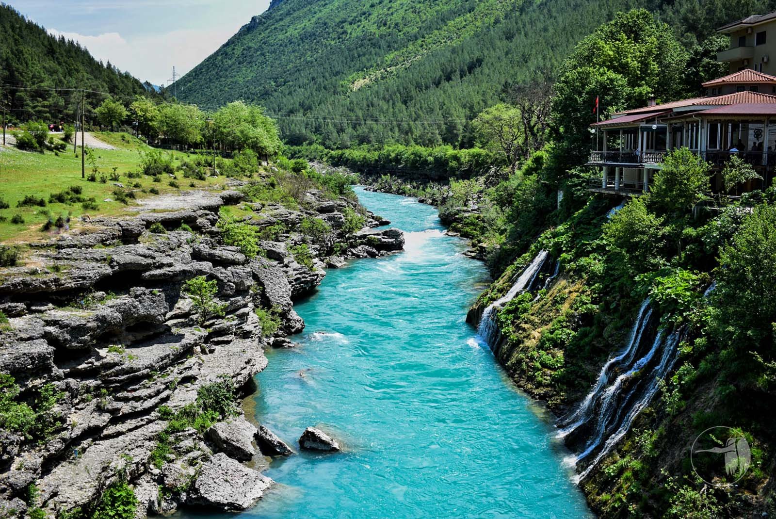 The Last Shepherds of Albania: A Life Between Stars and Silence