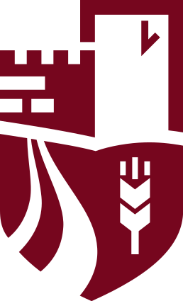 City of Cërrik