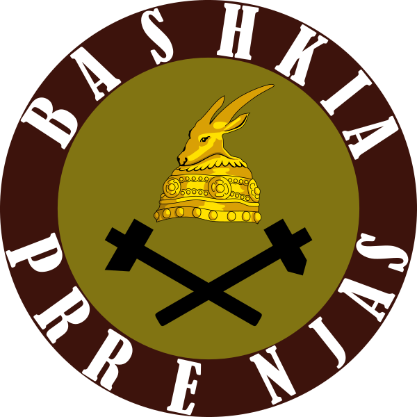 City of Prrenjas