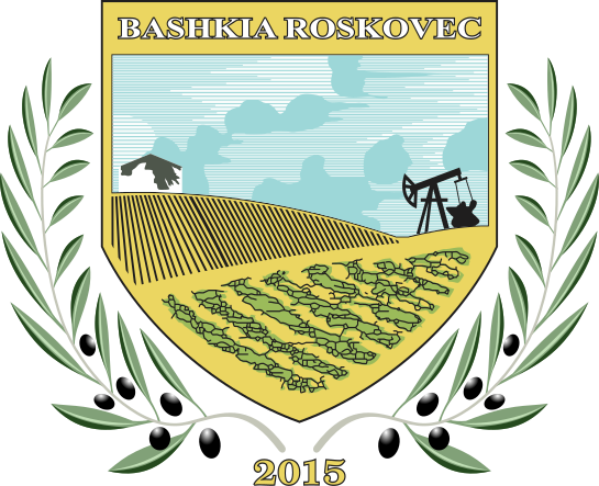 City of Roskovec